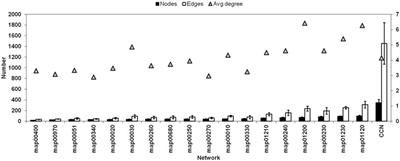 A systems level approach to study metabolic networks in prokaryotes with the aromatic amino acid biosynthesis pathway